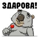 Стикеры Вомбат в Telegram