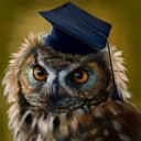 Канал Quiz | Голубь знаний 🦉 в Telegram