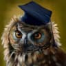 Telegram-канал Quiz | Голубь знаний 🦉