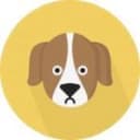 Канал Worldwide Puppies Buy — Sale 🐶🐩🐕 в Telegram