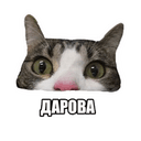 Стикеры Ебанутые Животные ( ) в Telegram