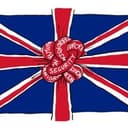 Канал English Polls | Английский в опросах в Telegram