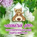 Канал БФ "Лохматый друг" в Telegram