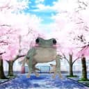 Канал Лягушки жабятся / frogs 🐸 в Telegram