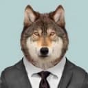 Канал Тамбовский волк в Telegram