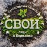 Telegram-канал Молодёжь Борисовского района