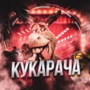 Канал КУКАРАЧА СМЕШНЫЕ ВИДЕО ПРИКОЛЫ в Telegram