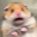 Стикеры Хомячки в Telegram