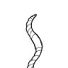 Telegram-канал Worm_archive