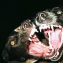 Канал 𝔄𝔰𝔭𝔥𝔶𝔵𝔦𝔞 в Telegram