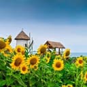 Канал ☀️ Детский сад 219 ☀️ в Telegram