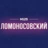 Ломоносовский район Москвы М125