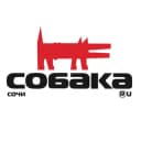 Канал «Собака.ru» Сочи / Краснодар в Telegram