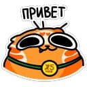 Стикеры Рыжий кот Кешбэкс в Telegram