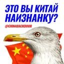 Стикеры Чайчка в Telegram