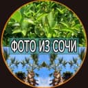 Канал Фото из Сочи в Telegram