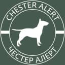 Канал Chester Alert в Telegram