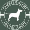 Telegram-канал Chester Alert