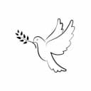 Канал Канал в Telegram