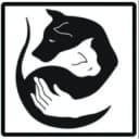 Канал Потеряшки Краснодар🐶🐱 в Telegram