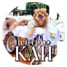 Telegram-канал Центр «КАЙ» 🐾🦽