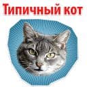 Стикеры Мемы с котом в Telegram