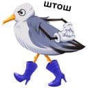 Стикеры Птичий базар в Telegram