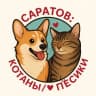 Telegram-канал Саратов: Котаны/Пёсики