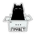 Стикеры Кошка Жора в Telegram