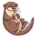 Стикеры Выдра в Telegram