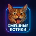 Канал ООО "Котики" в Telegram