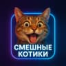 Telegram-канал ООО "Котики"