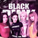 Канал BLACKPINK | YG | BLΛƆKPIИK в Telegram