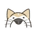 Стикеры Шиба Ину в Telegram