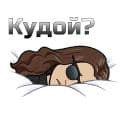 Стикеры Неборщи в Telegram