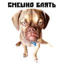 Стикеры Псина сутулая в Telegram