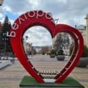 Канал Мой Белгород в Telegram