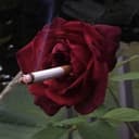 Канал damn pictures🥀 в Telegram