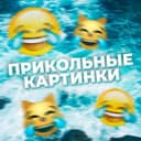 Канал Прикольные картинки/видео в Telegram