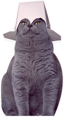 Стикеры Cool Cat! в Telegram