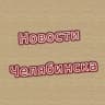 Telegram-канал Новости Челябинска и области