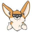 Стикеры Коржик в Telegram