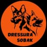 Telegram-канал dressura.sobak