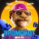 Канал Промокот – скидки, акции и всякая халява в Telegram