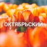 Telegram-канал Октябрьский район | Красноярск