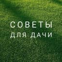 Канал Дачные советы🏡 в Telegram