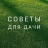 Дачные советы🏡