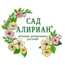 Канал Питомник Сад Алириан в Telegram
