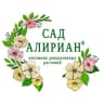 Telegram-канал Питомник Сад Алириан