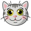 Стикеры Котики в Telegram